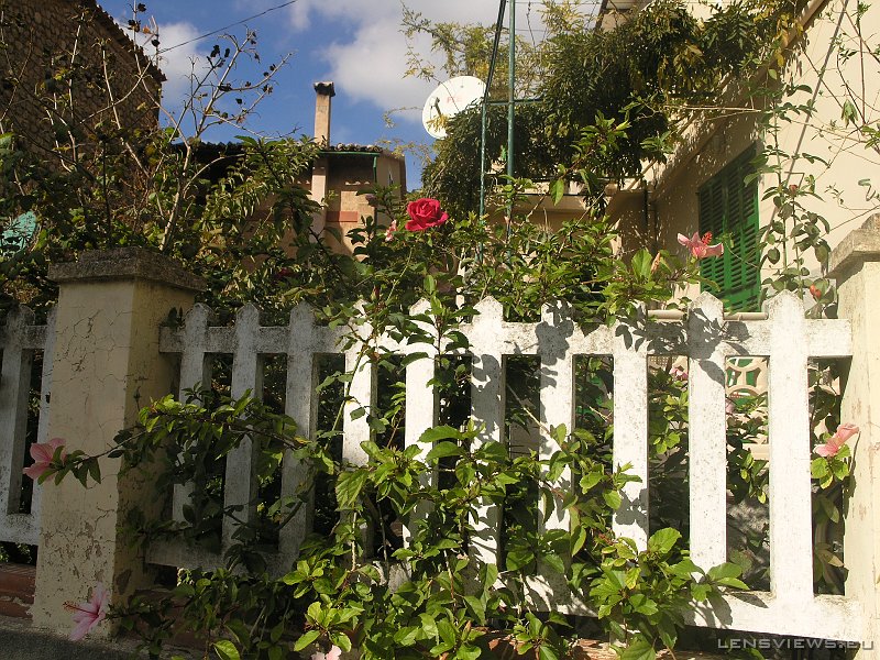 2006_11_19 12_54_26 OLYMPUS DIGITAL CAMERA         